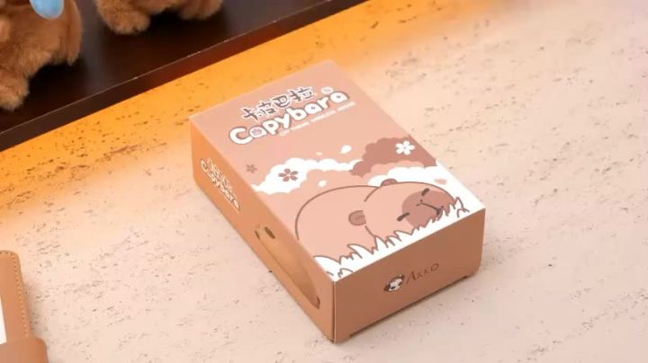 Akko Chu Bộ Capybara 2.4GHz ChuộT KhôNg DâY 4000DPI USB Quang Botuli ...