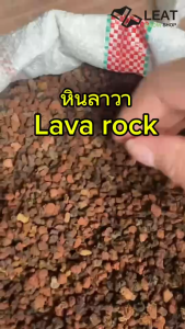 หินภูเขาไฟลาวา Lava Rock 5กก.  หินภูเขาไฟ ลาวาดำ-ลาวาแดง ผสมดินปลูก โรยหน้า รองตู้ปลา Leat grow