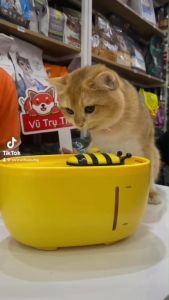 Máy lọc nước cho thú cưng cao cấp - Dung tích 2 lít cho chó mèo hình ong vàng dễ thương