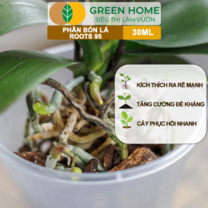 5 Chai Phân Kích Rễ Cực Mạnh ROOTS 95 GreenHome Chai 30ml Kích Ra Rễ Cực Mạnh Chuyên Cho Hoa Lan Cây Kiểng