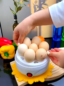 Electric Egg Boiler Multifunctional Steamer Rapid Heat Egg Cooker Portable Breakfast Maker