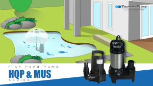 TSUNAMI MUS-150 | MUS-150A | MUS-400 | MUS-400A | MUS-750 | MUS-750A - FANCY CARP SUBMERSIBLE PUMP MUS SERIES