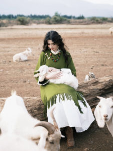 Váy Sườn Xám Phong Cách Trung Hoa Cổ Điển Mới Bi Shan Có Thắt Lưng Và Cài Nút Váy Suông Tay Dài Mùa Hè Thiết Kế Độc Đáo Cho Nữ