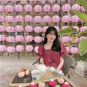 ZHIZHOU | Round Pink Sakura Japanese Outdoor Waterproof Decoration Lantern