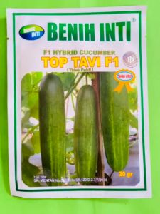 Benih Timun F1 TOP TAVI isi 20gr dari PT DINASTY INTI AGRO SARANA terbaik