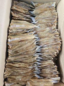 ปลาช่อนทะเลบางใหญ่ขนาด 500กรัม ปลาสดใหม่สะอาด