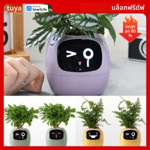 กระถางต้นไม้สมาร์ท Ivy Tuya ความสนุกไม่รู้จบ พร้อมการแสดงออกหลากหลายกว่า 49 รูปแบบ เซ็นเซอร์อัจฉริยะ 7 ตัว ชิป AI ทำให้การเลี้ยงต้นไม้เป็นเรื่องง่ายและสนุก