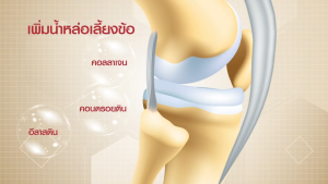 ปวดข้อ ปวดเข่า คอลลาสติน เพิ่มน้ำหล่อเลี้ยงข้อเข่า กระดูกอ่อนผิวข้อ ผงเยื่อหุ้มเปลือกไข่ 300 มก. กิฟฟารีนของแท้ 30 แคปซูล