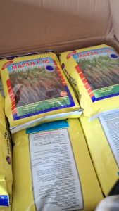 COD SELURUH INDONESIA!!!! BENIH PADI MAPAN-05 PRIMASID KEMASAN 1kg