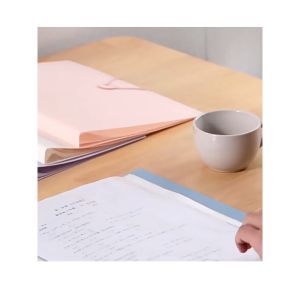 Bìa nhựa  File lá Clear Book nhiều màu đủ loại 20/40/60/100 lá file đựng tài liệu A4 nhiều ngăn-HAUSE