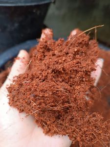 ขุยมะพร้าวร่อนแล้ว 5-6กก.