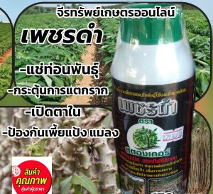 แช่ท่อนพันธุ์ มันสำปะหลัง น้ำยาเร่งราก ตราเพชรดำ 500 ซีซี