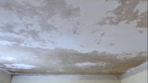 Tẩy mốc tường tẩy mốc quần áo SIÊU ĐẬM ĐẶC HT01 (5 lít) khử trùngdiệt khuẩn 9999% cho nhà nghỉkhách sạn giặt là!