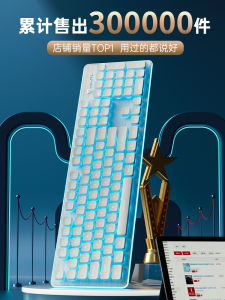 Quiet Wired Keyboard Mouse Set for Women Office Gaming Laptop Universal Microstep L1 Upgraded Version Non-Mechanical USB