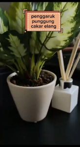 [LMR-L&R] Penggaruk Punggung Model CAKAR ELANG Besi Teleskopik Alat Garuk Punggung Gatal Eagle Back Scratcher