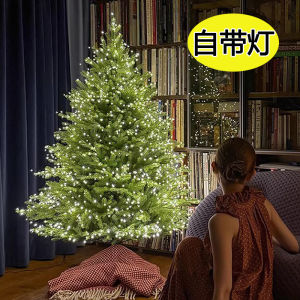 Large Christmas Tree Decoration Korean Style Naked Tree Ornament Home Use Childrens New 2025 New Model Popular Ins Style