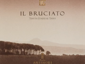 Antinori Tenuta Guado al Tasso Il Bruciato Bolgheri 2020 750ml 14% Italy Cabernet Sauvignon Red wine
