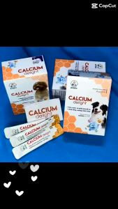 Calcium Delight bổ sung canxi vitamin khoáng chất cho chó mèo con đang mang thai thú cưng già