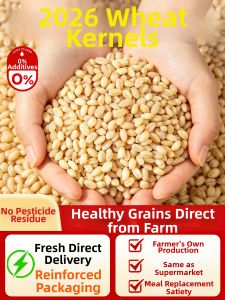 Blood Sugar Control Mixed Grains