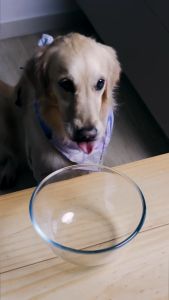 Omakase Pork Frozen Broth Pops (24 Cubes X 12.5ml) 300ml