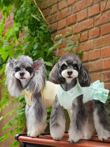 Lightweight Polo Dress Dog Clothes Summer New Arrival Teddy Schnauzer One-piece Skirt Style Casual Pet Fashion by Yire Xintian