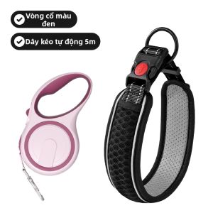 7o | Dây Dắt và Collar Cho Chó Từ Nhỏ đến Lớn