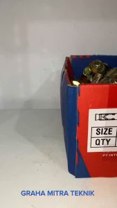 Wilson Dynabolt 12x75mm 1 box (75pcs) Baut Tanam