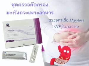 ชุดตรวจหาเชื้อ H.Pylori ในกระเพาะอาหาร สาเหตุของโรคกระเพาะอาหารเรื้อรัง มะเร็งกระเพาะอาหาร  (ตรวจอุจจาระ) ราคา/1 ชุด
