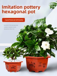 Thickened Green Ivy Pot Plastic Hexagonal Planting Pots for Balcony Indoor round Flower Pots Special Offer Empty Shelf Sale