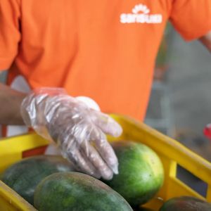 SukiGrocer Bokchoy 90-100g / 230-250g