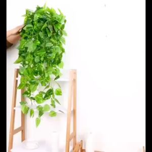 Giỏ Dây Leo Treo Tường Nhiều Mẫu Độc Đáo Đã Cắm Sẵn Dài 90cm Tặng Móc 3D DG-400