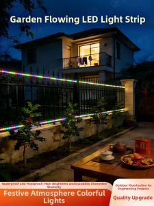 PAIMIJI | Colorful LED Light Strip 220V