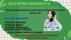 Antapro Bharata Obat Stroke Herbal Premium Obat Stroke Ringan Berat Kolesterol Darah Tinggi Paling Ampuh 100% Original Bergaransi