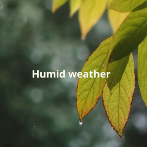 เครื่องเป่าเสื้อผ้าไฟฟ้าแบบพกพาขนาดเล็กเครื่องอบแห้งอย่างรวดเร็วพร้อมตัวจับเวลาเครื่องอบผ้าขนาดเล็กกะทัดรัดพับเก็บได้พร้อมถุงแห้งเงียบสำหรับอพาร์ทเม้นท์ RV หอพักเดินทางบ้าน