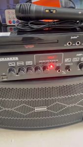 (amp-260  black or gold )or lx-6916/hv-208 with amplifier (free mic)