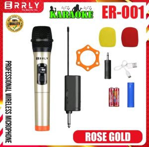 Mic Microphone Karaoke Profesional Wireless YF-58S UHF Double