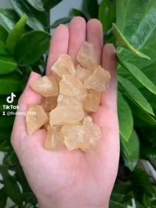 Mủ Trôm Dạng Viên Bình Thuận Cục To Loại Ngon