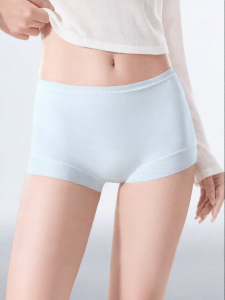 Secret World | Antibacterial Cotton Briefs Panties