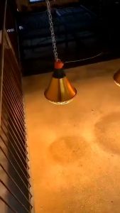Viddavet-Hood and wiring for lamp w/ control temp Heat lamp for puppies heat lamp for chicken heat lamp for piglets
