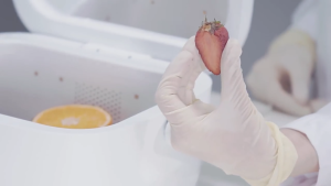 SG【Ready Stock】59 seconds LED ultraviolet mini disinfection box pacifier sterilizer portable storage sterilization box for going out Sterilizing instrument