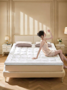 FUANNA (富安娜) | Soy Antibacterial Double Foldable Tatami Mattress