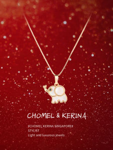 New Arrival Cute Elephant Design Necklace Womens Luxury Collarbone Chain Birthday Gift for Girlfriend Best Friend