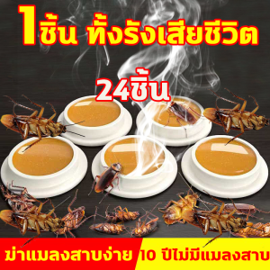 💥ซื้อ2 แถม1💥ยาฆ่าแมลงสาบ 24pcs กำจัดแมลงสาบ ยากำจัดแมลงสาบ ไล่แมลงสาบ ที่ดักแมลงสาบ ฆ่าแมลงสาบ แมลงสาบ กำจัด เหยื่อกำจัดแมลงสาบ เจลกำจัดแมลงสาบ ฆ่าแมลงสาบต่อเนื่อง เหยื่อแมลงสาบ ยาฆ่าแมลงสาป cockroaches kille - Lazada