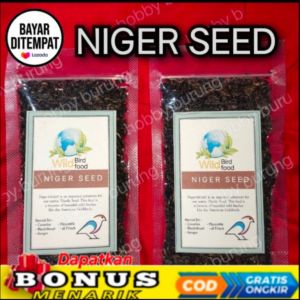 pakan Niger SEED pakan makanan burung kenari frinch Mozambik sanger blackthroat Lovebird bagus sehat menghangatkan terlaris laris manis termurah murah meriah gacor berkicau bunyi gacor dor