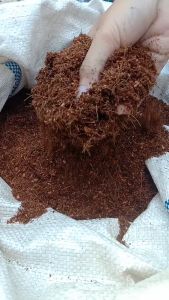 Cocopeat Media Tanam 1kg & Cocopeat Halus Perkebunan Melon