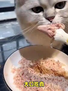 【SG Seller】Cat Can Food(24Cans*85g) Nutritious Hydration Cat Wet Food Chicken/Tuna/Fruit/Vegetable/Krill Cat Treat