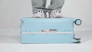 SEA CHOICE 20 Inch Cabin luggage Wide Handle Hard Shell Aluminum Framed Polycarbonate(PC) Material  Carry on Suitcase with TSA Lock Scratch-resistant 4 Wheel Spinner