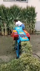 takafuji petrol chopper sym.mp4