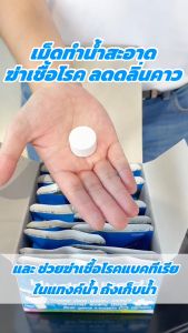 เม็ดทำน้ำสะอาด ปรับน้ำใส ฆ่าเชื้อโรค ลดกลิ่นคาว สำหรับแทงค์น้ำ ใช้เติมในเครื่องทำน้ำสะอาด