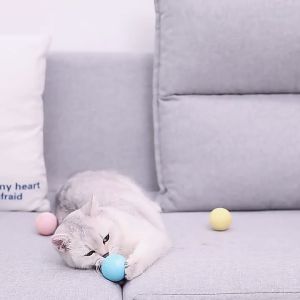 Cat Catnip Ball Toys  Fluffy Plush Interactive Ball Cat Training Toy with Teaser Animal Chirping Sound Mainan Kucing